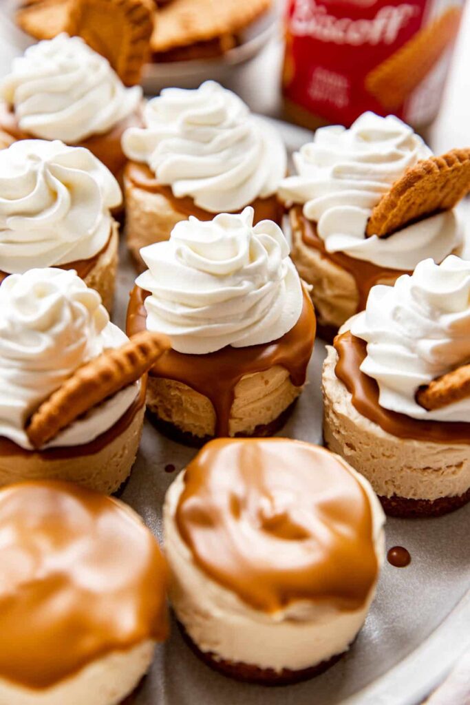 Easy mini no bake Biscoff cheesecakes with Lotus cookie crust and whipped topping