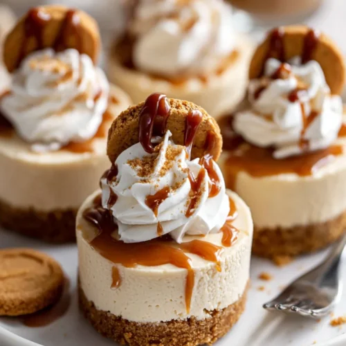Mini no bake Biscoff cheesecakes topped with whipped cream, Biscoff drizzle, and cookie pieces on a white plate.